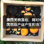 美国关税落地,将对中国哪些产业产生影响? 美国关税落地,将对中国哪些产业产生影响?