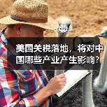 美国关税落地,将对中国哪些产业产生影响? 美国关税落地,将对中国哪些产业产生影响?