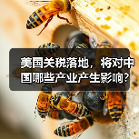 美国关税落地,将对中国哪些产业产生影响? 美国关税落地,将对中国哪些产业产生影响?