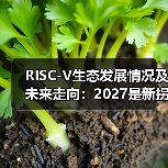 RISC-V生态发展情况及未来走向：2027是新拐点