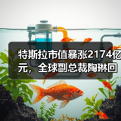 特斯拉市值暴涨2174亿元，全球副总裁陶琳回应安全驾驶问题