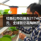 特斯拉市值暴涨2174亿元，全球副总裁陶琳回应安全驾驶问题