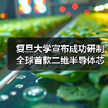 复旦大学宣布成功研制全球首款二维半导体芯片 “无极” 复旦大学宣布成功研制全球首款二维半导体芯片 “无极”