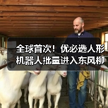 全球首次!优必选人形机器人批量进入东风柳汽工厂 全球首次!优必选人形机器人批量进入东风柳汽工厂