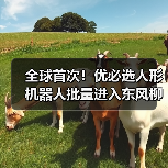 全球首次!优必选人形机器人批量进入东风柳汽工厂 全球首次!优必选人形机器人批量进入东风柳汽工厂