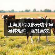 上海贝岭以多元功率半导体矩阵,赋能高效、可靠光储系统创新 上海贝岭以多元功率半导体矩阵,赋能高效、可靠光储系统创新