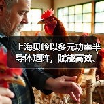 上海贝岭以多元功率半导体矩阵,赋能高效、可靠光储系统创新 上海贝岭以多元功率半导体矩阵,赋能高效、可靠光储系统创新