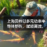 上海贝岭以多元功率半导体矩阵,赋能高效、可靠光储系统创新 上海贝岭以多元功率半导体矩阵,赋能高效、可靠光储系统创新