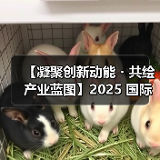 【凝聚创新动能・共绘产业蓝图】2025 国际集成电路展览会暨研讨会(IIC Shanghai)圆满闭幕 【凝聚创新动能・共绘产业蓝图】2025 国际集成电路展览会暨研讨会(IIC Shanghai)圆满闭幕