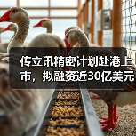 传立讯精密计划赴港上市，拟融资近30亿美元