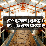 传立讯精密计划赴港上市，拟融资近30亿美元