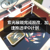紫光展锐完成股改,加速推进IPO计划 紫光展锐完成股改,加速推进IPO计划