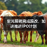 紫光展锐完成股改,加速推进IPO计划 紫光展锐完成股改,加速推进IPO计划