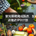 紫光展锐完成股改,加速推进IPO计划 紫光展锐完成股改,加速推进IPO计划