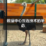 数据中心互连技术的革命