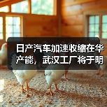 日产汽车加速收缩在华产能，武汉工厂将于明年3月停产