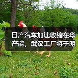 日产汽车加速收缩在华产能，武汉工厂将于明年3月停产