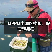 OPPO中国区换帅,段要辉接任 OPPO中国区换帅,段要辉接任