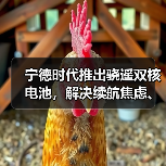 宁德时代推出骁遥双核电池，解决续航焦虑、安全等核心痛点