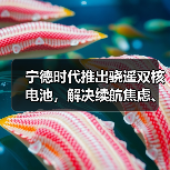 宁德时代推出骁遥双核电池，解决续航焦虑、安全等核心痛点