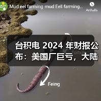 台积电 2024 年财报公布：美国厂巨亏，大陆厂大赚