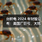 台积电 2024 年财报公布：美国厂巨亏，大陆厂大赚