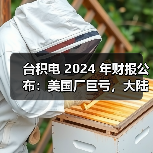 台积电 2024 年财报公布：美国厂巨亏，大陆厂大赚