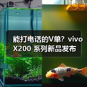 能打电话的V单?vivo X200 系列新品发布 能打电话的V单?vivo X200 系列新品发布