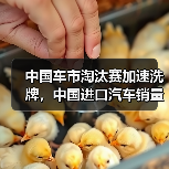 中国车市淘汰赛加速洗牌,中国进口汽车销量下降39% 中国车市淘汰赛加速洗牌,中国进口汽车销量下降39%