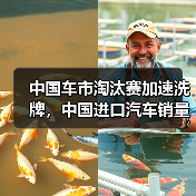 中国车市淘汰赛加速洗牌,中国进口汽车销量下降39% 中国车市淘汰赛加速洗牌,中国进口汽车销量下降39%