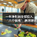 一年净利润全部投入，“六个核桃” 跨界增资长江存储母公司
