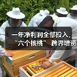 一年净利润全部投入，“六个核桃” 跨界增资长江存储母公司
