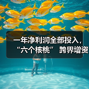 一年净利润全部投入，“六个核桃” 跨界增资长江存储母公司