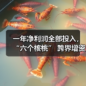 一年净利润全部投入，“六个核桃” 跨界增资长江存储母公司