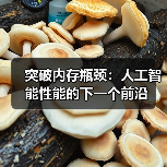 突破内存瓶颈：人工智能性能的下一个前沿