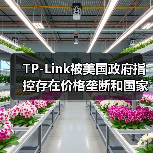 TP-Link被美国政府指控存在价格垄断和国家安全风险 TP-Link被美国政府指控存在价格垄断和国家安全风险