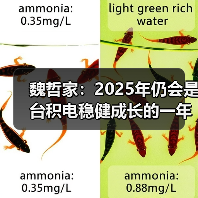 魏哲家：2025年仍会是台积电稳健成长的一年