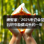 魏哲家：2025年仍会是台积电稳健成长的一年