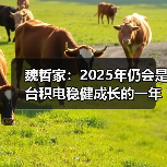 魏哲家：2025年仍会是台积电稳健成长的一年