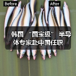 韩国 “国宝级” 半导体专家赴中国任职 韩国 “国宝级” 半导体专家赴中国任职
