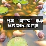 韩国 “国宝级” 半导体专家赴中国任职 韩国 “国宝级” 半导体专家赴中国任职