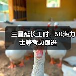三星延长工时,SK海力士等考虑跟进 三星延长工时,SK海力士等考虑跟进