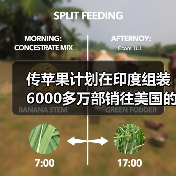 传苹果计划在印度组装6000多万部销往美国的iPhone 传苹果计划在印度组装6000多万部销往美国的iPhone