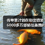 传苹果计划在印度组装6000多万部销往美国的iPhone 传苹果计划在印度组装6000多万部销往美国的iPhone