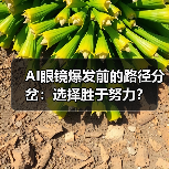 AI眼镜爆发前的路径分岔:选择胜于努力? AI眼镜爆发前的路径分岔:选择胜于努力?