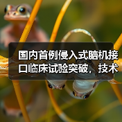 国内首例侵入式脑机接口临床试验突破,技术领先全球 国内首例侵入式脑机接口临床试验突破,技术领先全球