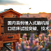 国内首例侵入式脑机接口临床试验突破,技术领先全球 国内首例侵入式脑机接口临床试验突破,技术领先全球