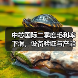 中芯国际二季度毛利率下滑,设备验证与产能波动如何影响行业? 中芯国际二季度毛利率下滑,设备验证与产能波动如何影响行业?