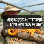 鸿海印度芯片工厂获批，印度半导体发展如何突破？