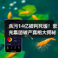 贪污14亿被判死缓!紫光集团破产真相大揭秘 贪污14亿被判死缓!紫光集团破产真相大揭秘
